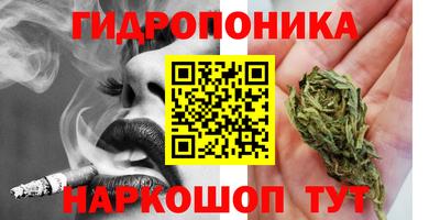 mix Можга